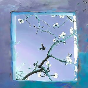 亚洲综合在线不卡一区
